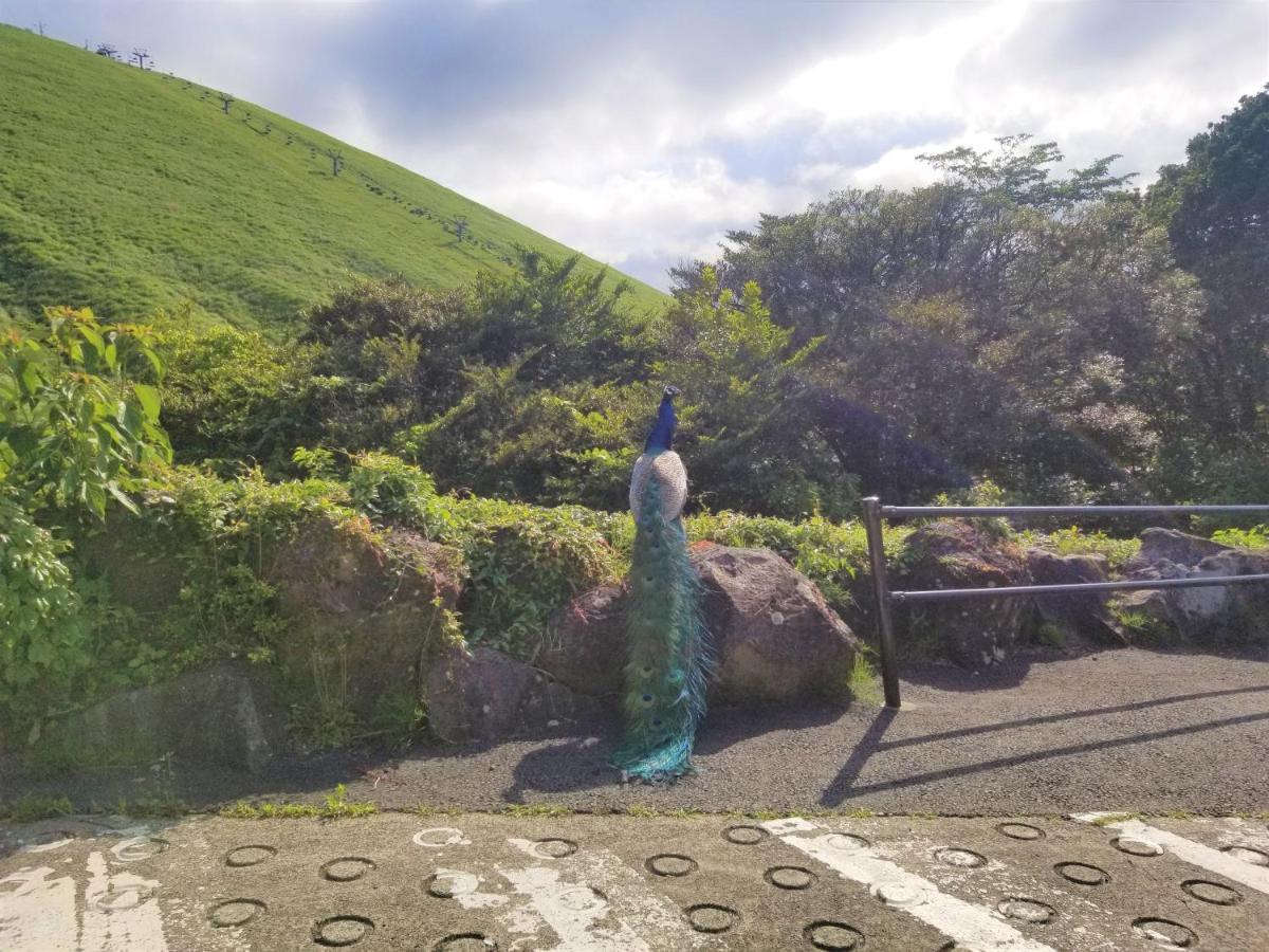 הוילה Futo スマートステイ大室山3合目 מראה חיצוני תמונה